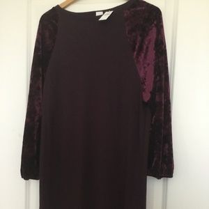 NWT Gap Velvet Baseball sleeve dress Plum MED TALL